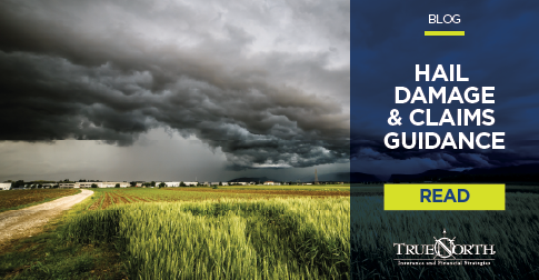 Storm Damage Claims Guidance