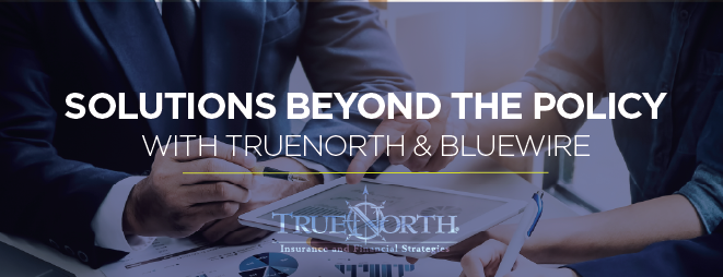 Solutions Beyond the Policy with TrueNorth & Bluewire